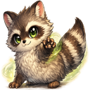 Raccoon